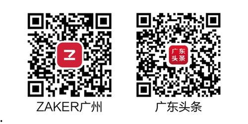 广州头条最新爆料,揭秘某神秘项目背后真相！  第3张